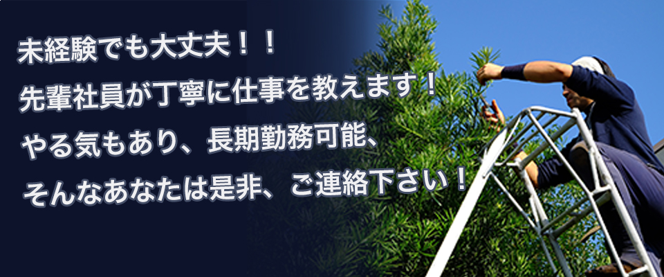 未経験でも大丈夫！！先輩社員が丁寧に仕事を教えます！やる気もあり、長期勤務可能、そんなあなたは是非ご連絡下さい！