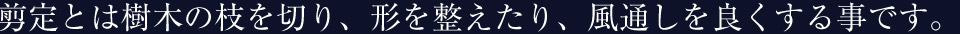 剪定（せんてい）とは樹木の枝を切り、形を整えたり、風通しを良くする事です。